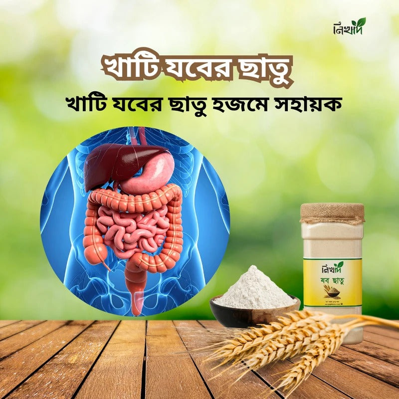 নিখাদ যব ছাতু